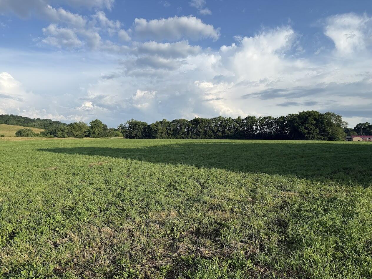 10 Kentucky 39 Property Photo 2