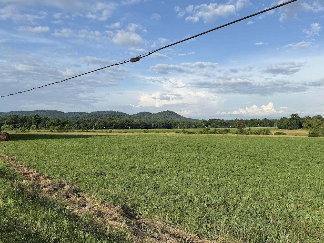 10 Kentucky 39 Property Photo 10