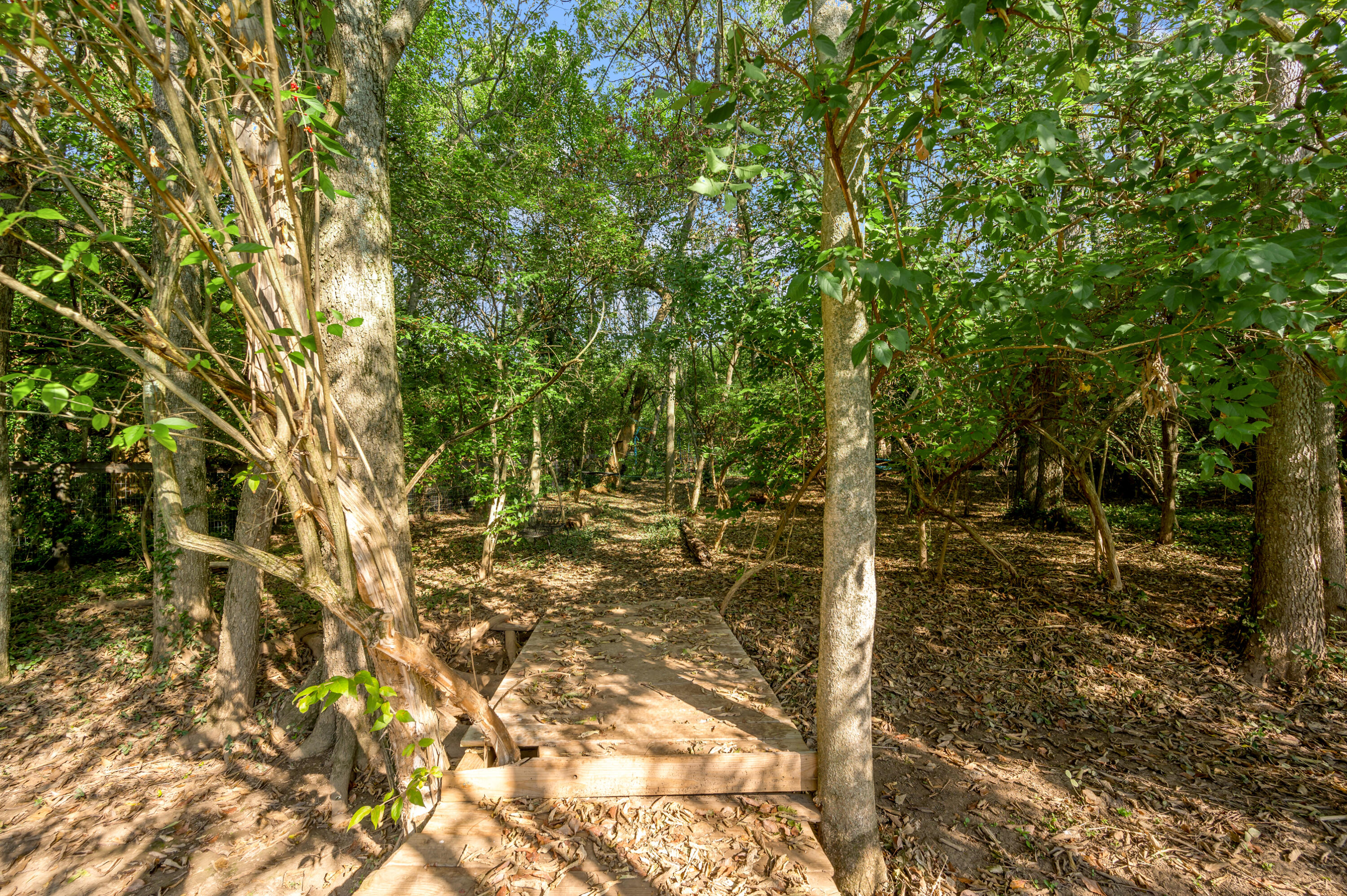 4060 Greentree Road Property Photo 35