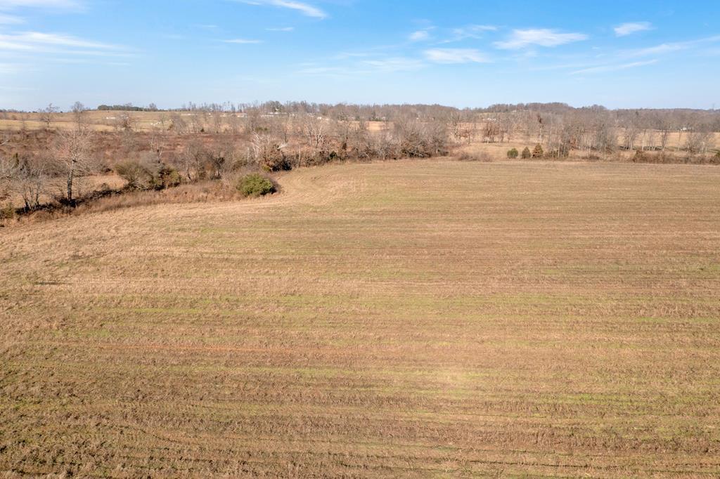 0 Madisonville Property Photo 13