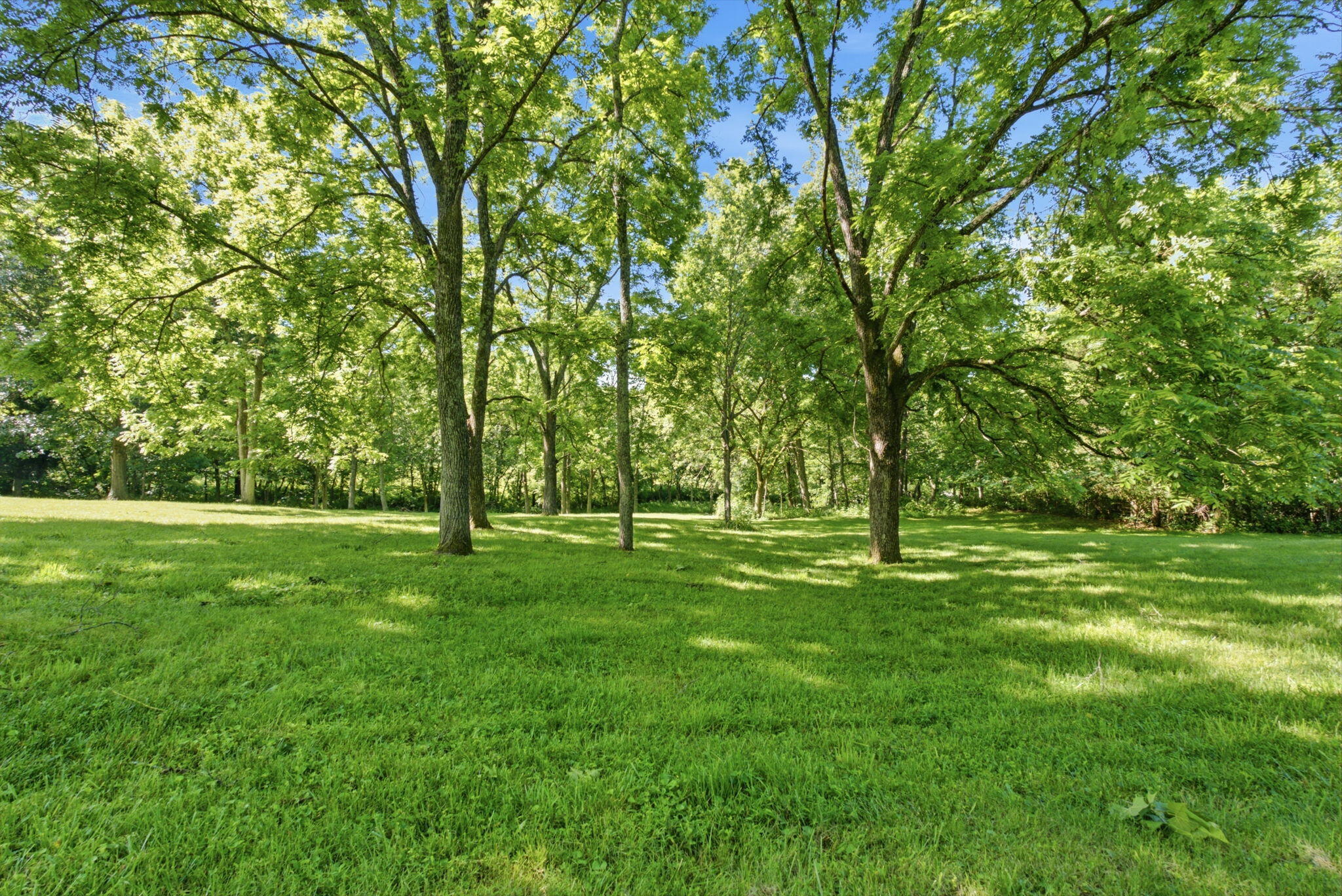 325 Eagle Creek Trail Property Photo 41