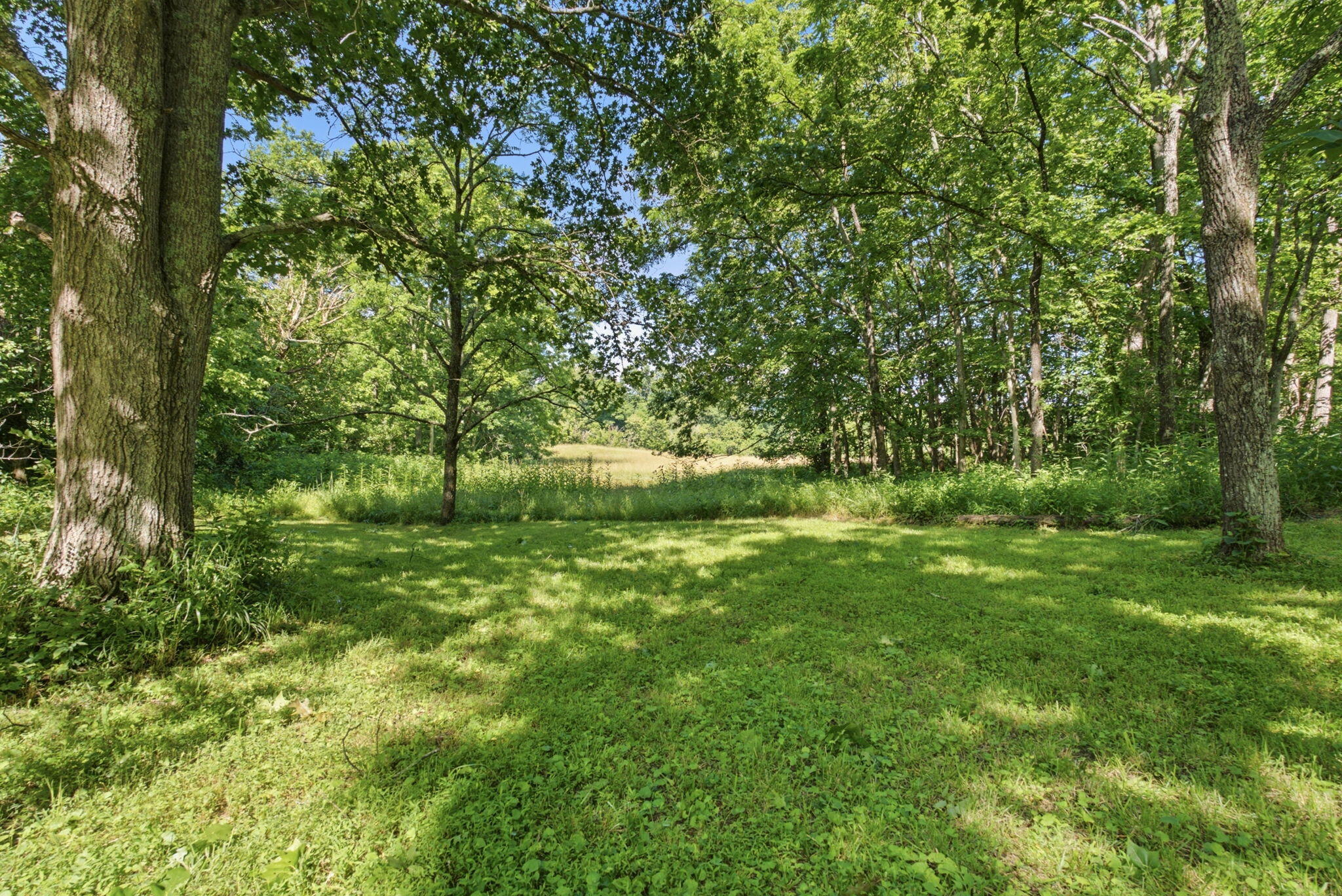 325 Eagle Creek Trail Property Photo 44