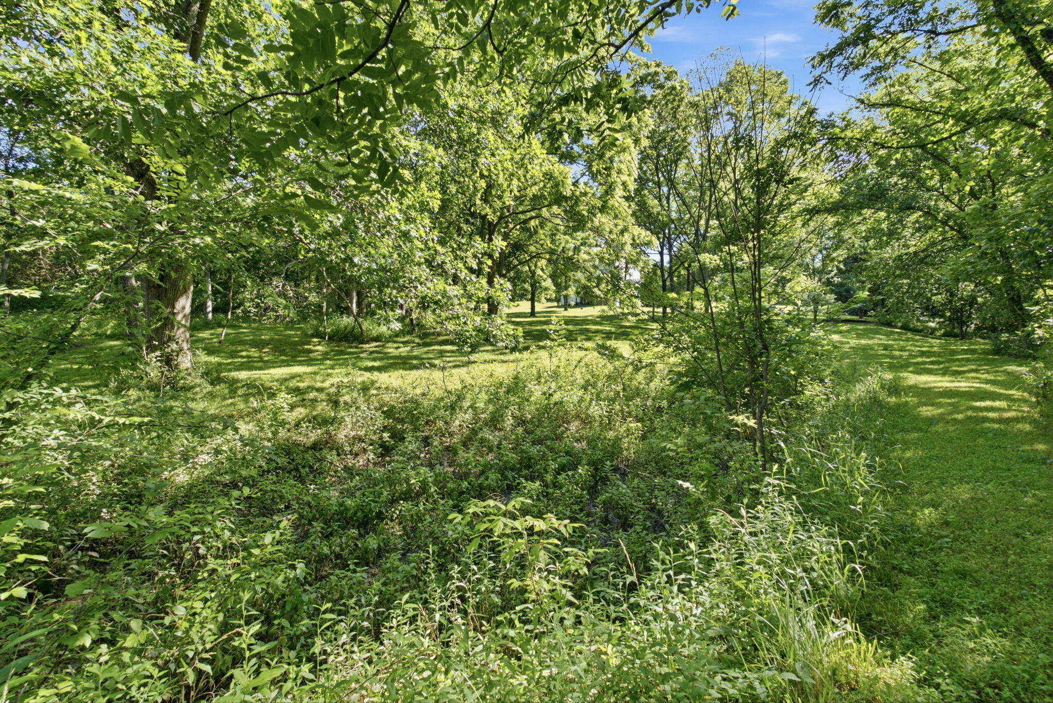 325 Eagle Creek Trail Property Photo 45