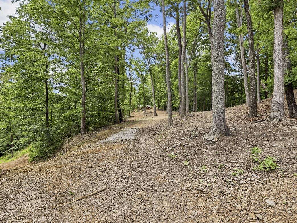 192 Gum Gap Road Property Photo 42