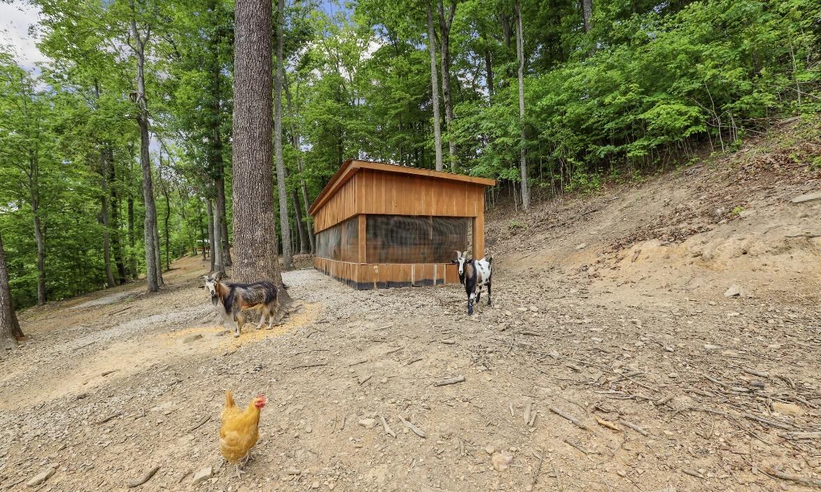 192 Gum Gap Road Property Photo 48