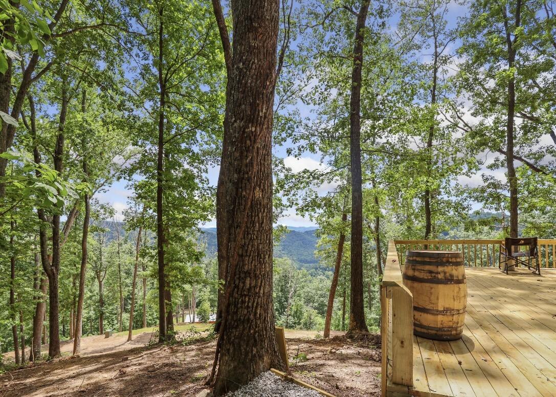 192 Gum Gap Road Property Photo 61