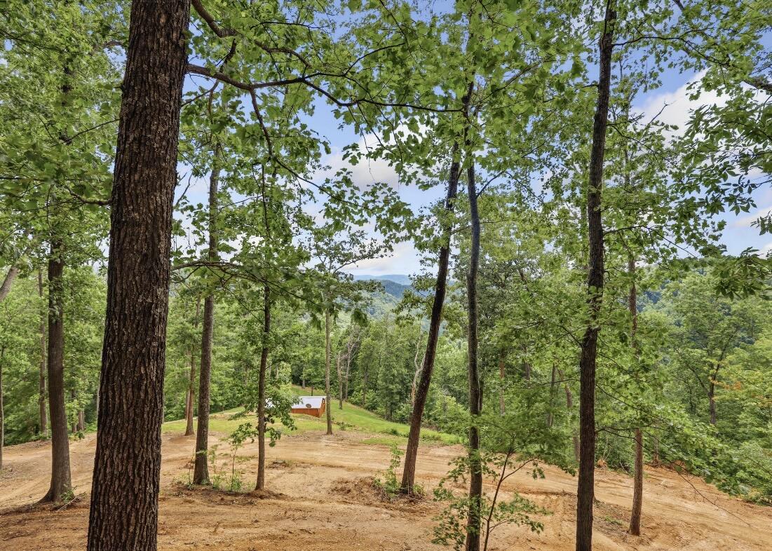 192 Gum Gap Road Property Photo 63