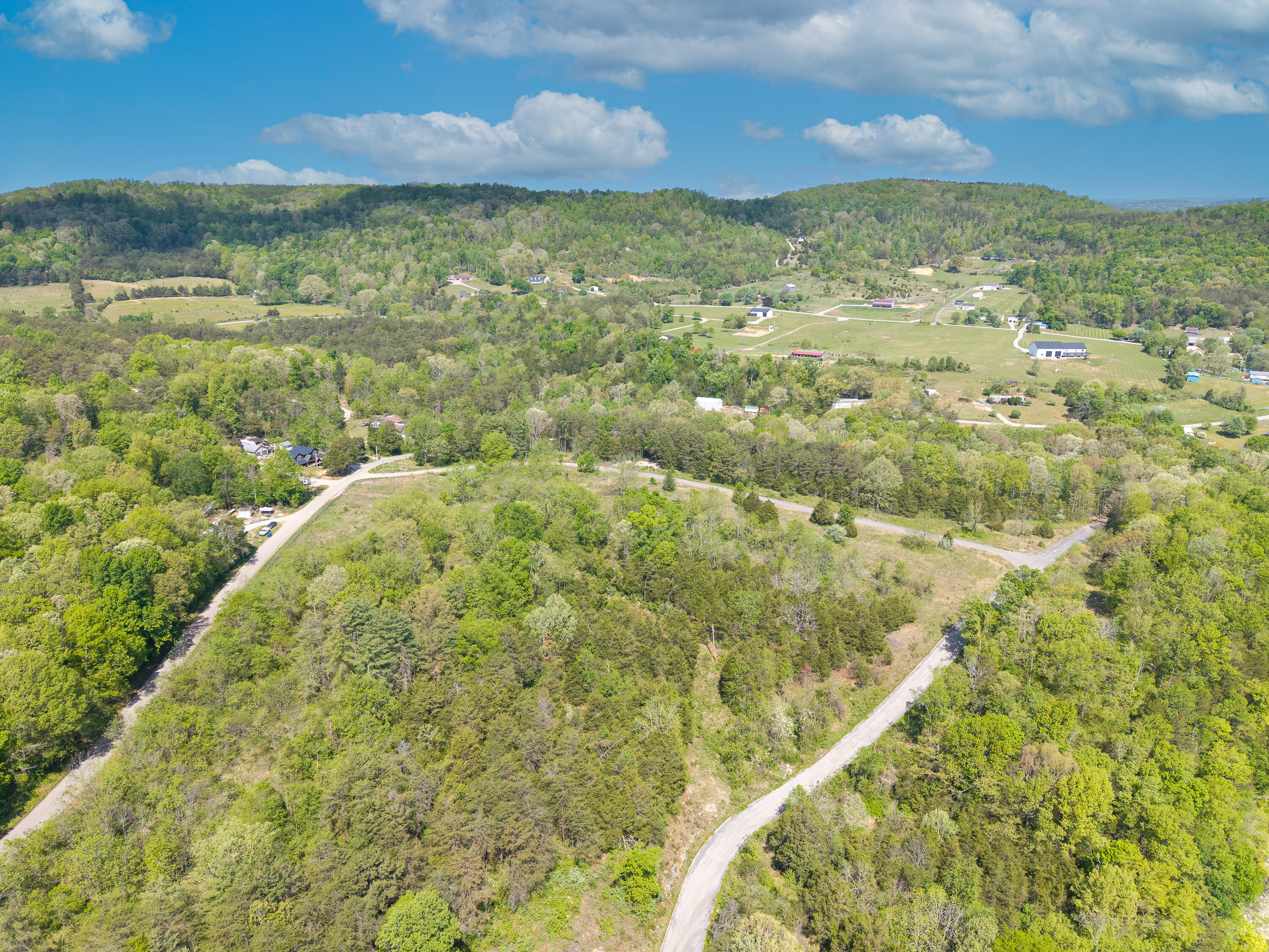 028 Aderholt Road Property Photo 14