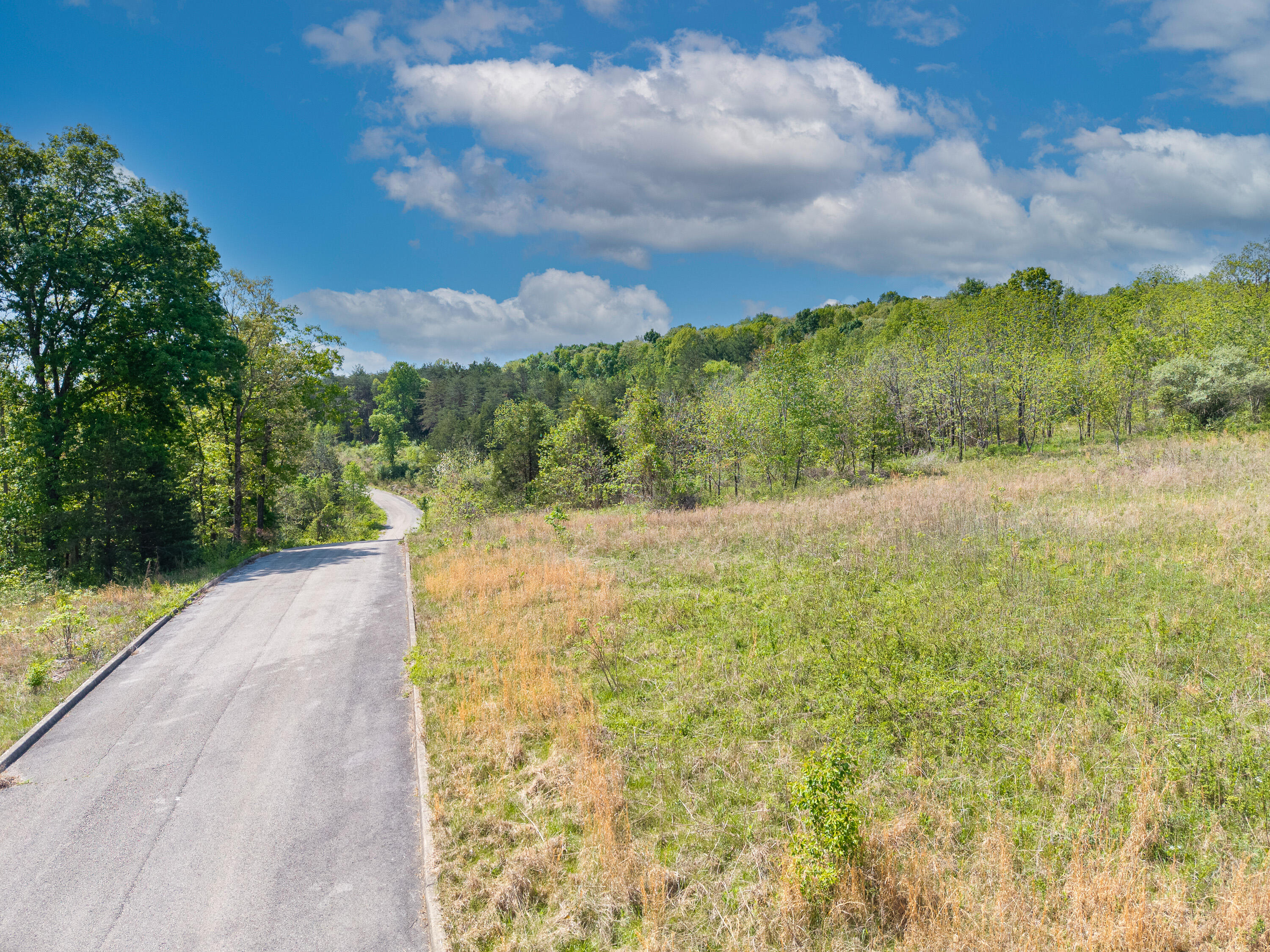 028 Aderholt Road Property Photo 21