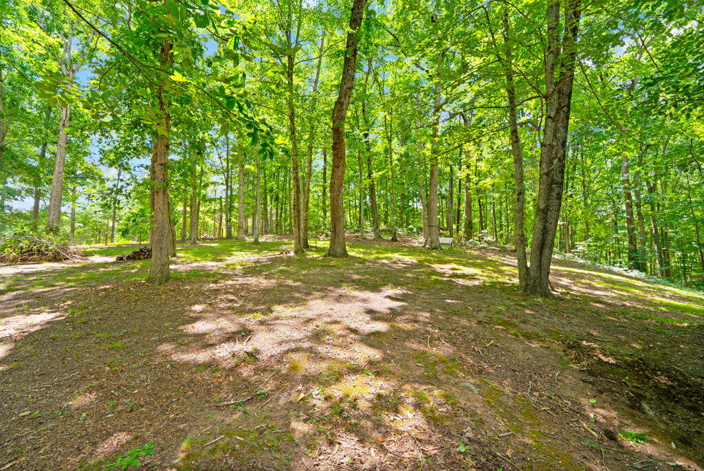 1261 Clark Road Property Photo 21