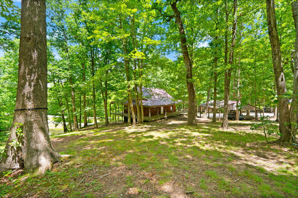 1261 Clark Road Property Photo 22