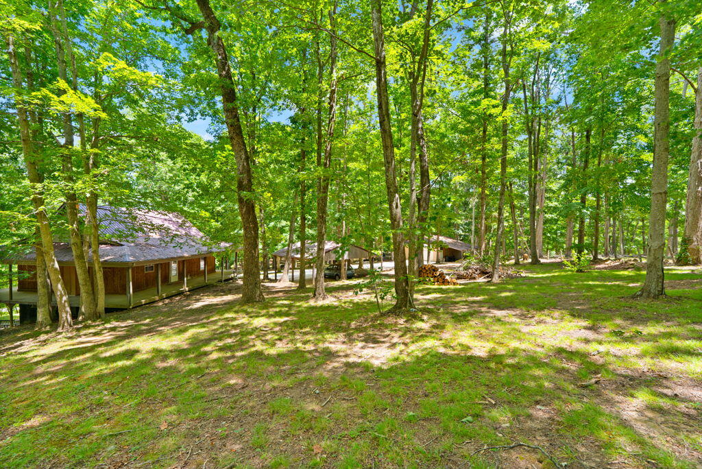 1261 Clark Road Property Photo 23
