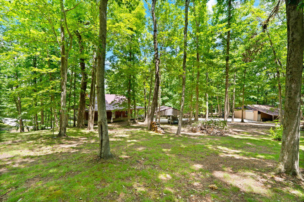 1261 Clark Road Property Photo 25
