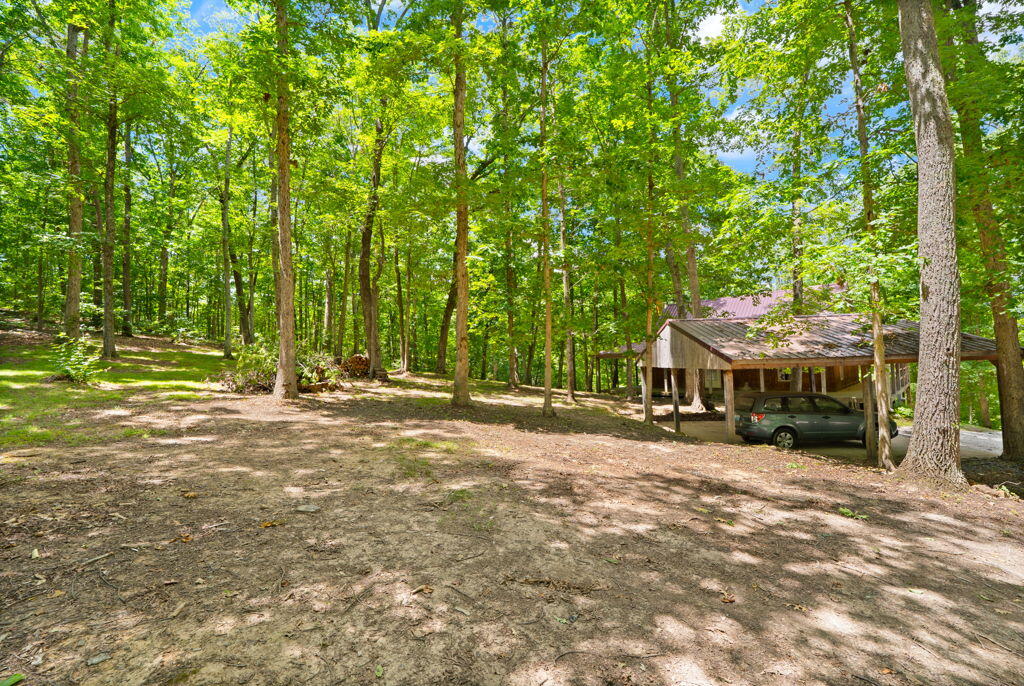1261 Clark Road Property Photo 26