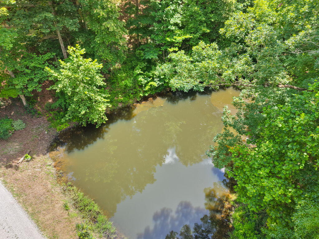 1261 Clark Road Property Photo 77