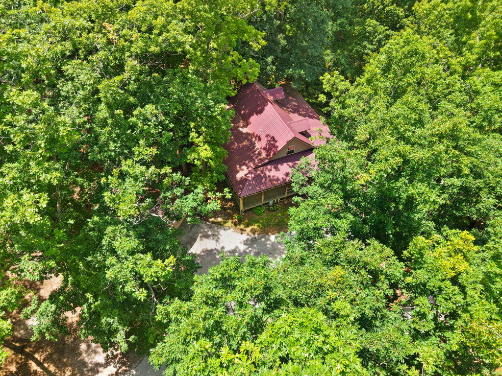 1261 Clark Road Property Photo 79