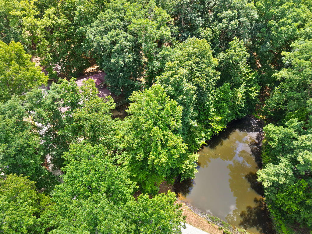 1261 Clark Road Property Photo 81