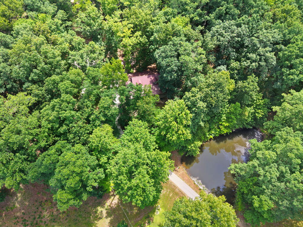 1261 Clark Road Property Photo 82
