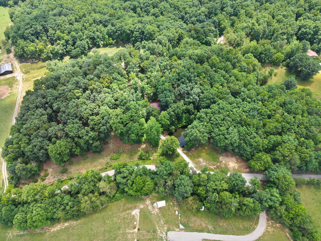 1261 Clark Road Property Photo 85
