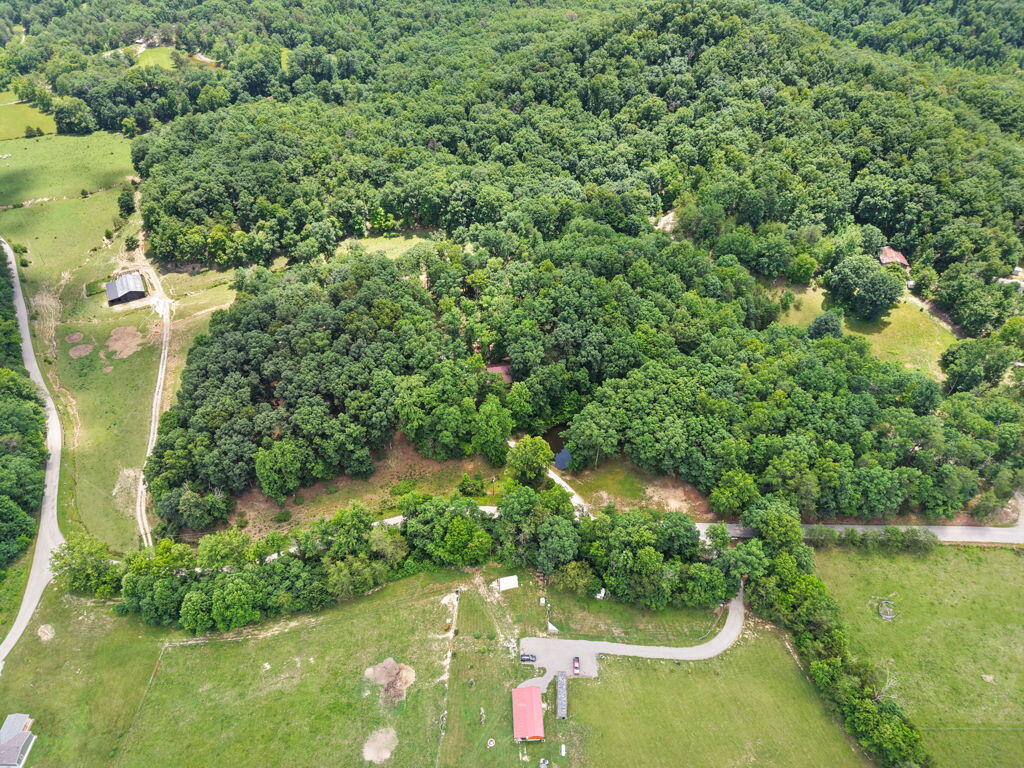 1261 Clark Road Property Photo 86