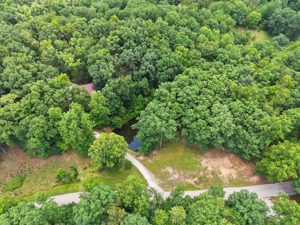 1261 Clark Road Property Photo 88