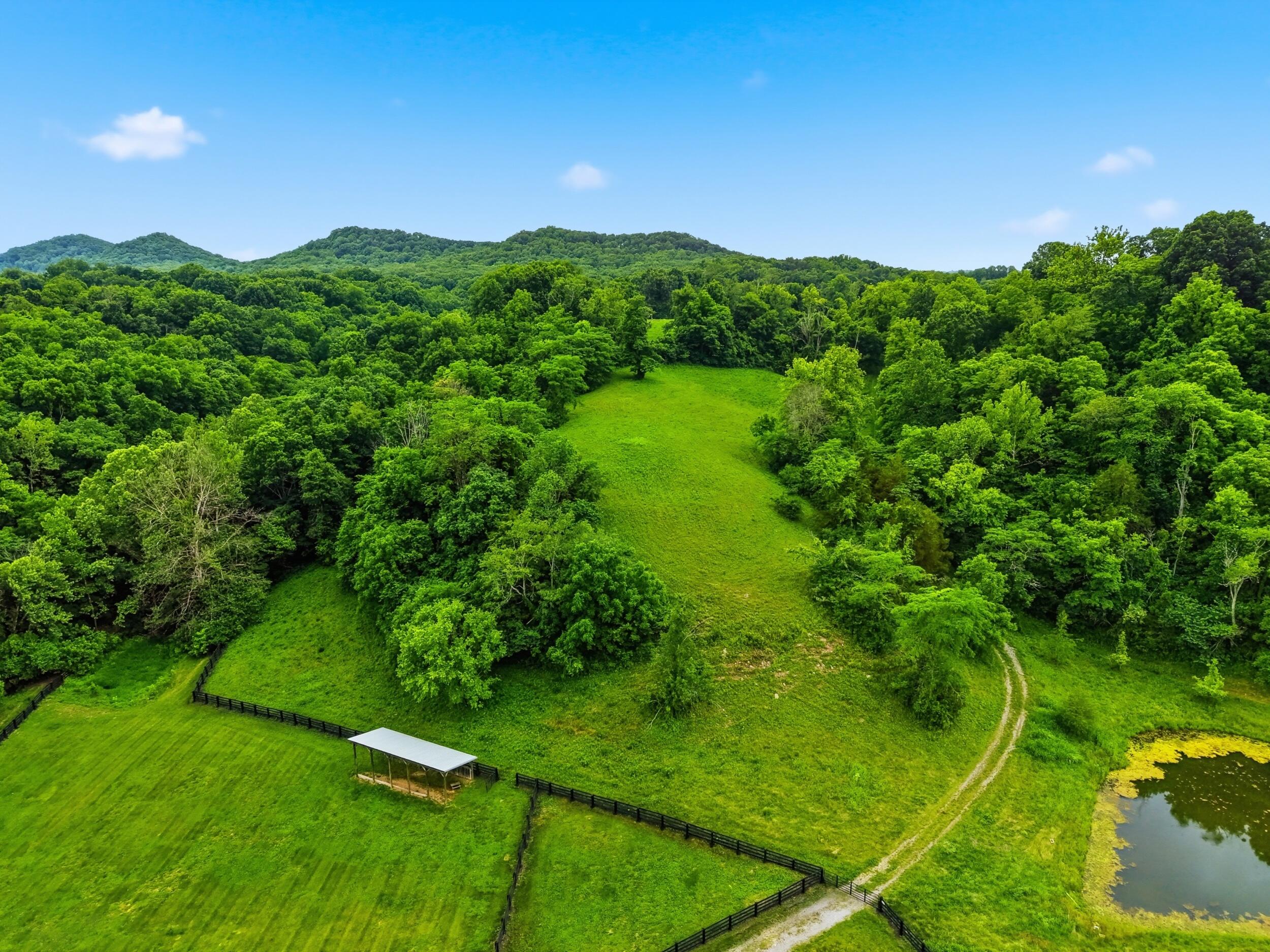 17412 Forkland Road Property Photo 63