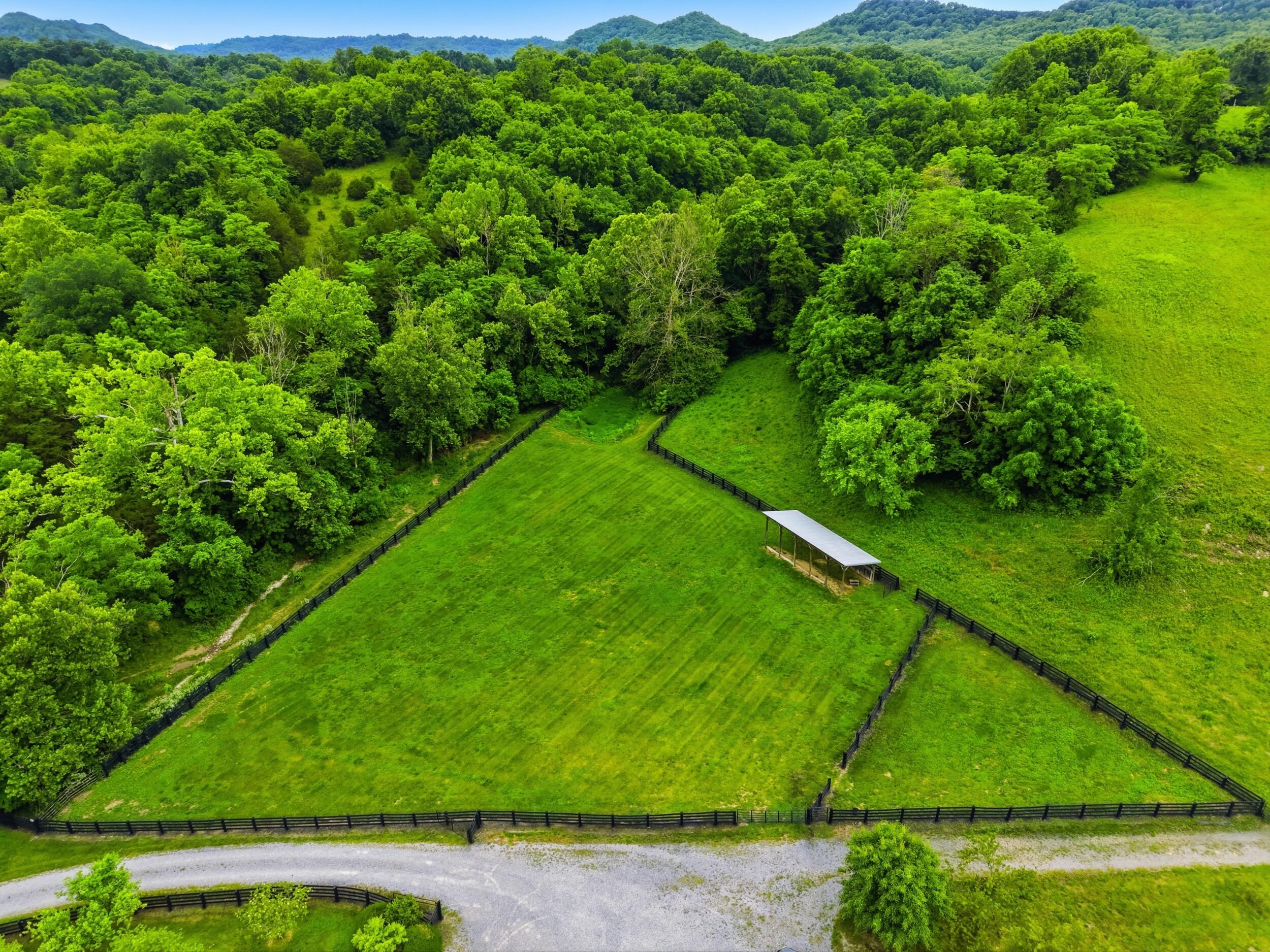 17412 Forkland Road Property Photo 10