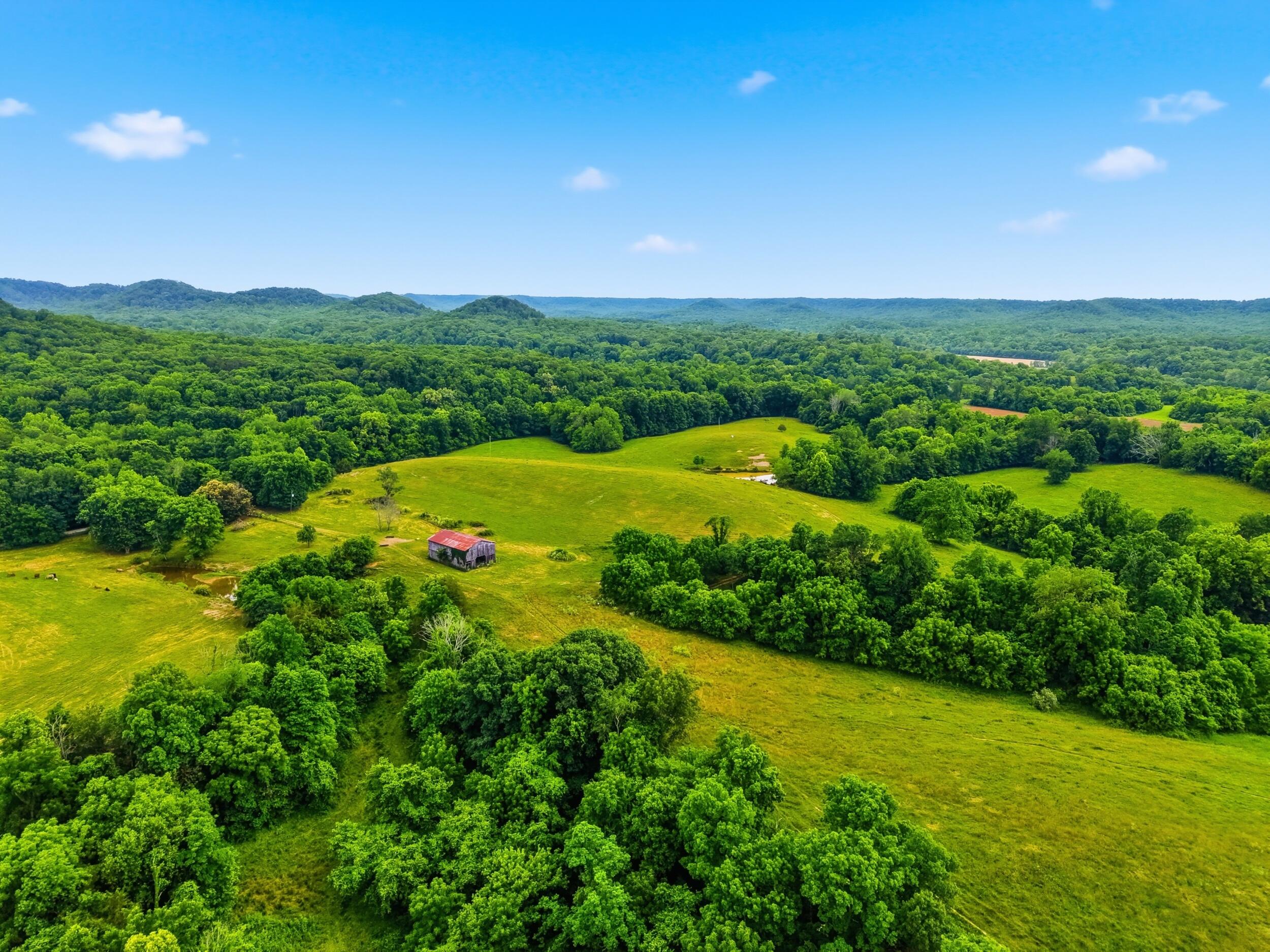 17412 Forkland Road Property Photo 15