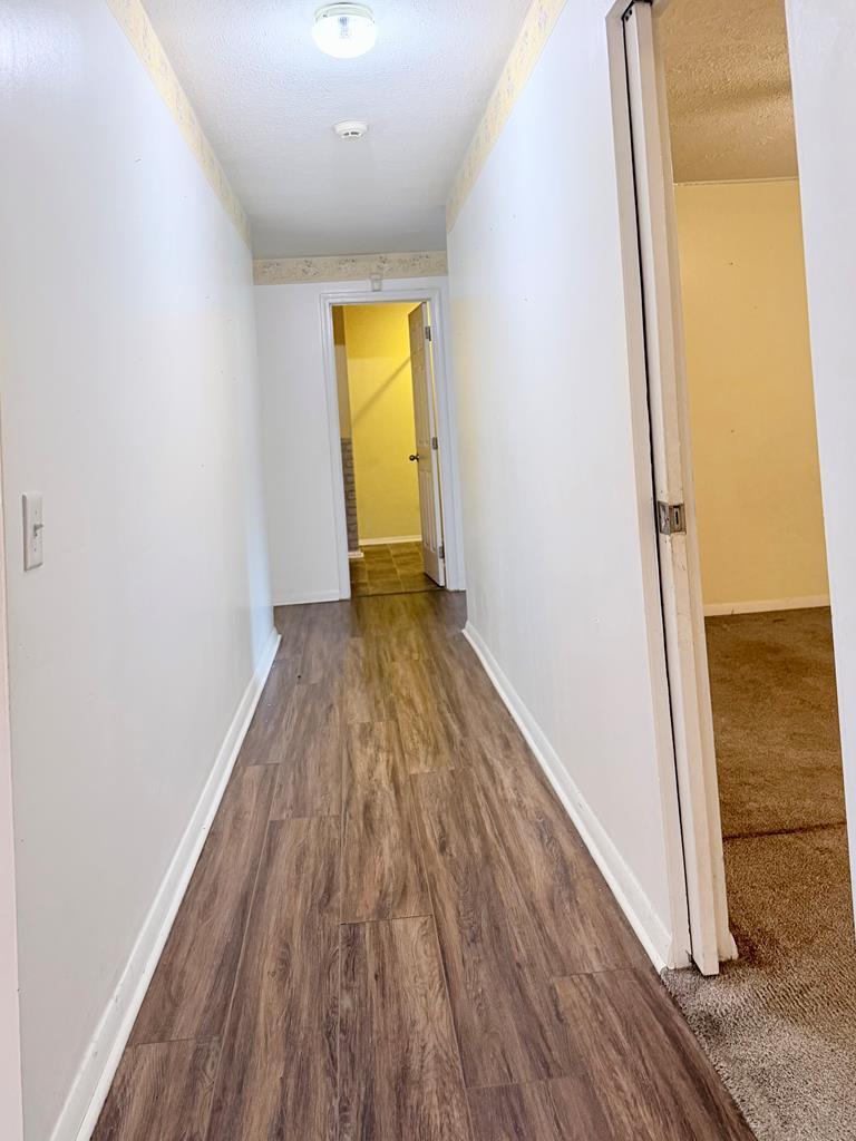 137 Dripping Springs Street Property Photo 14