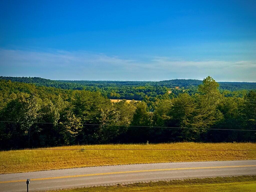 2580 Crofton Dawson Road Property Photo 46