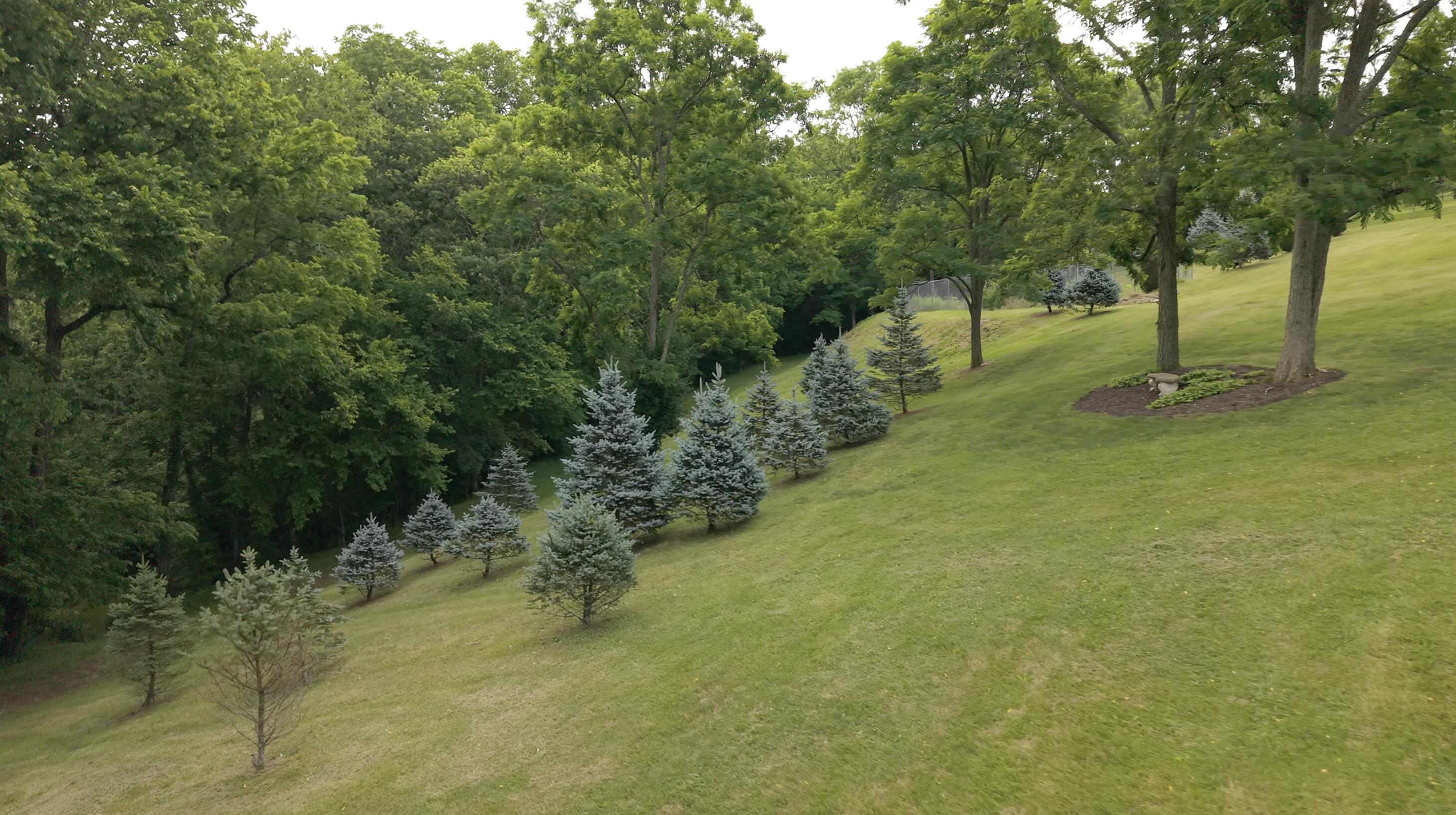 10938 Rich-lan Road Property Photo 83