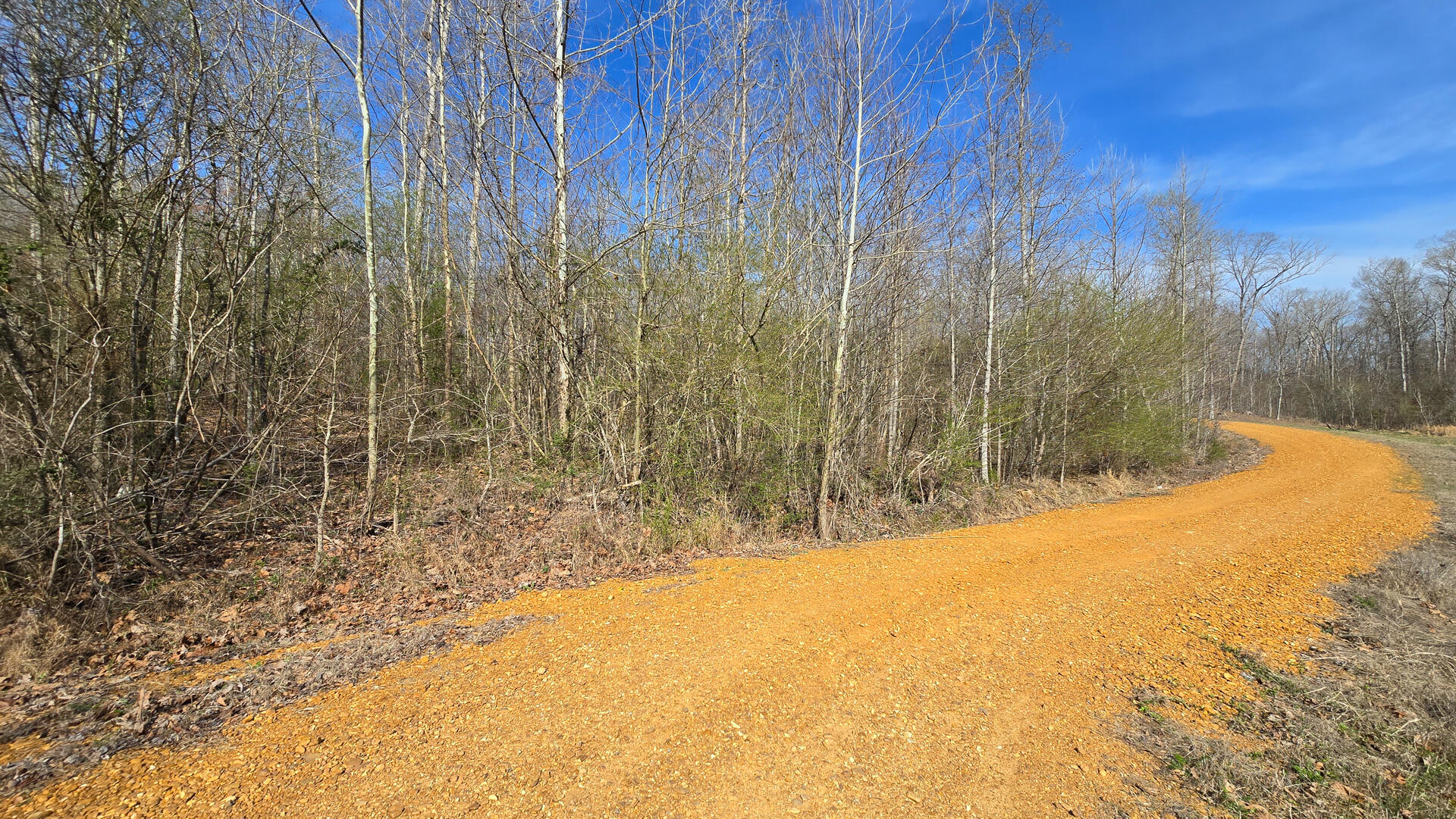 000 Mcclain Drive Property Photo 1