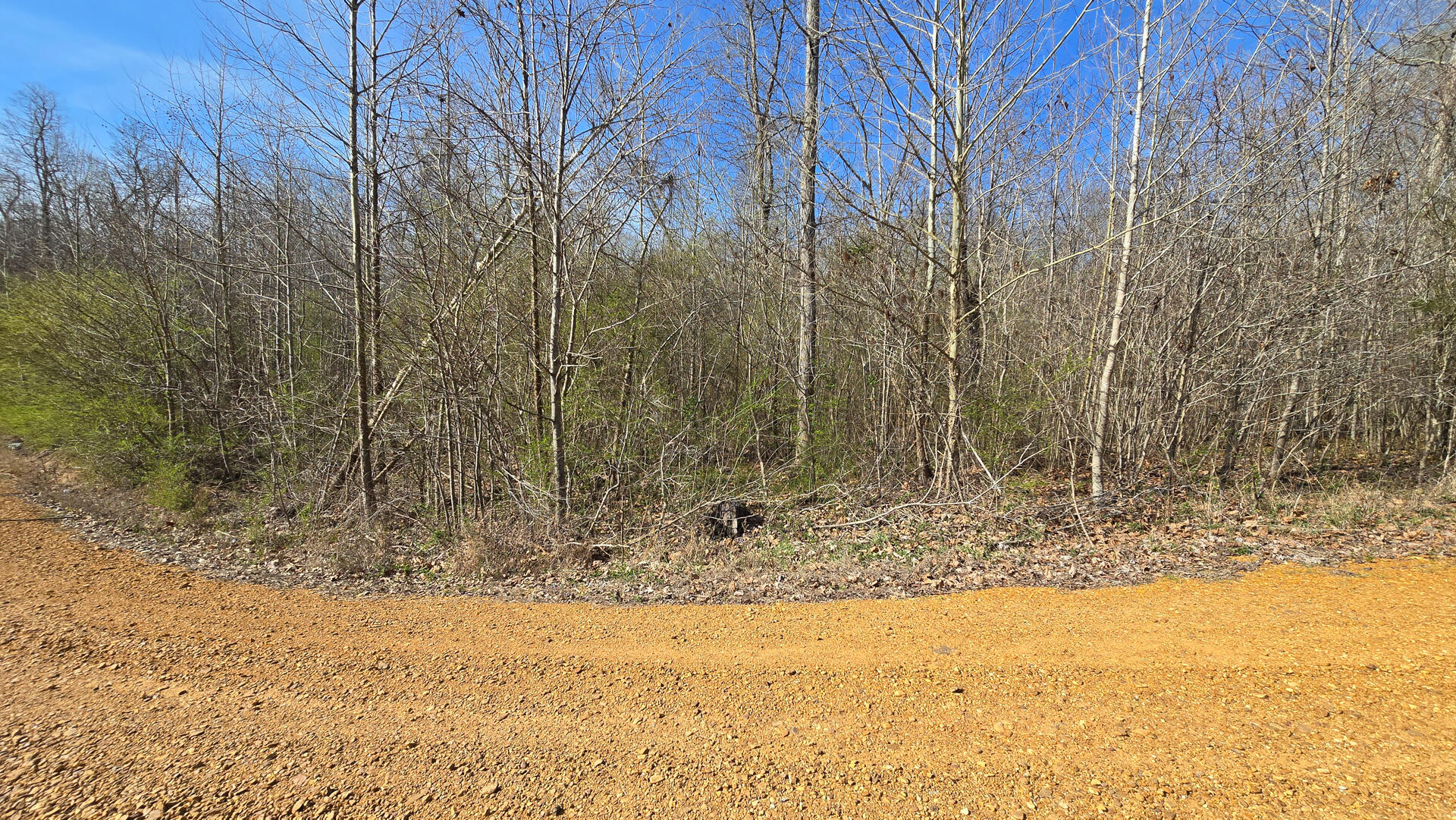 000 Mcclain Drive Property Photo 2
