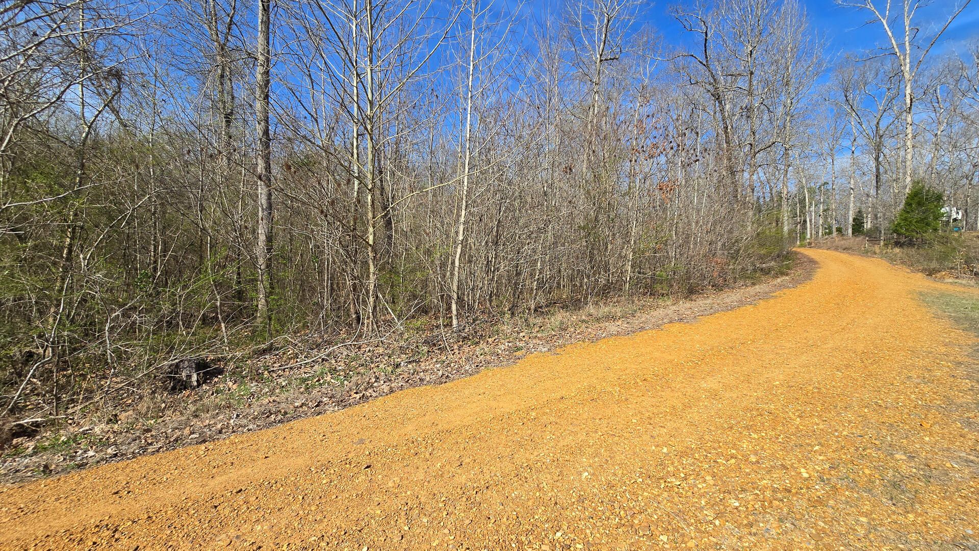000 Mcclain Drive Property Photo 3