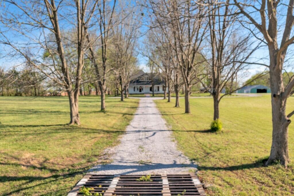 11485 Julien Road Property Photo 58
