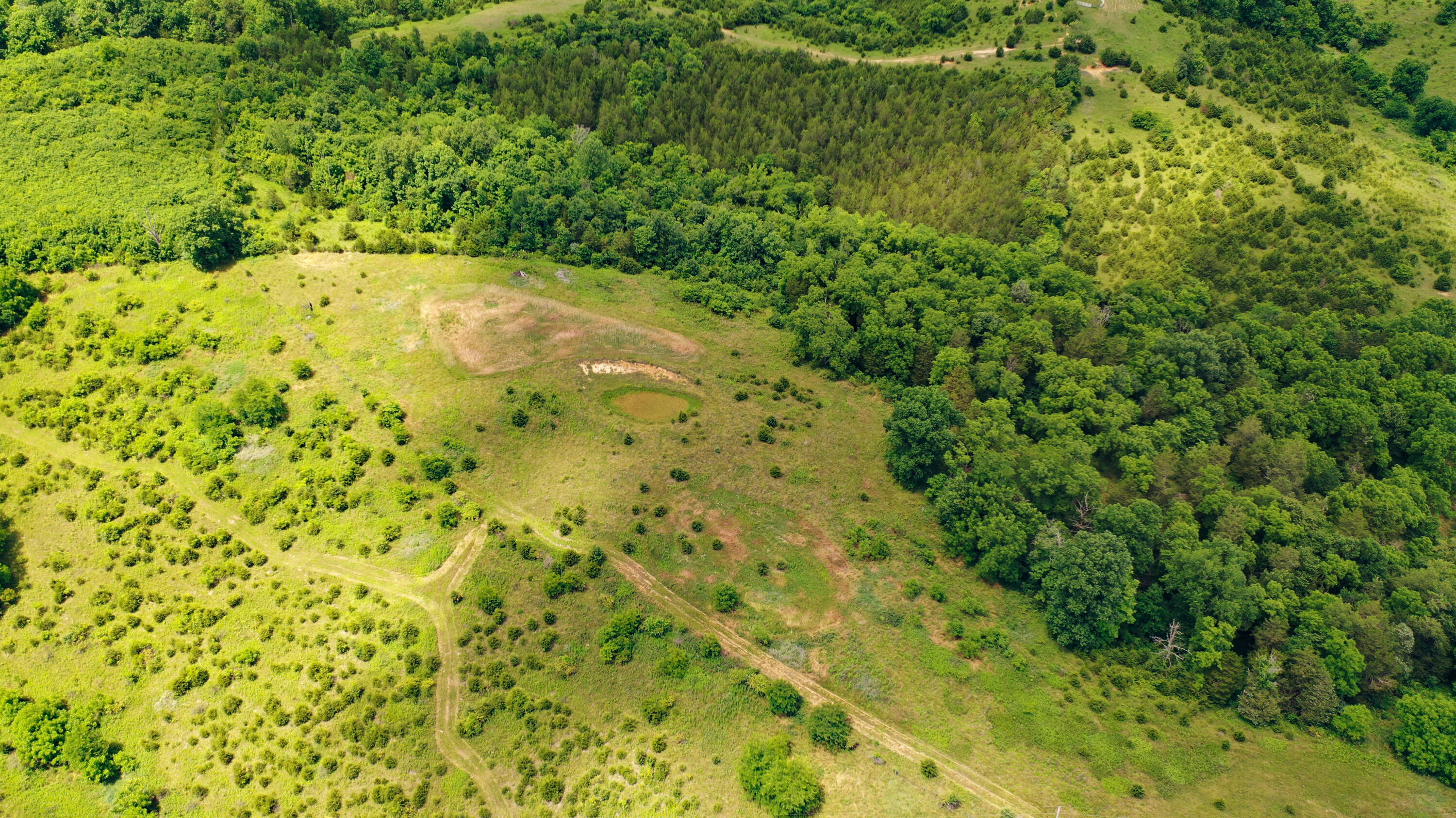359 Ky Highway 1284 Property Photo 4