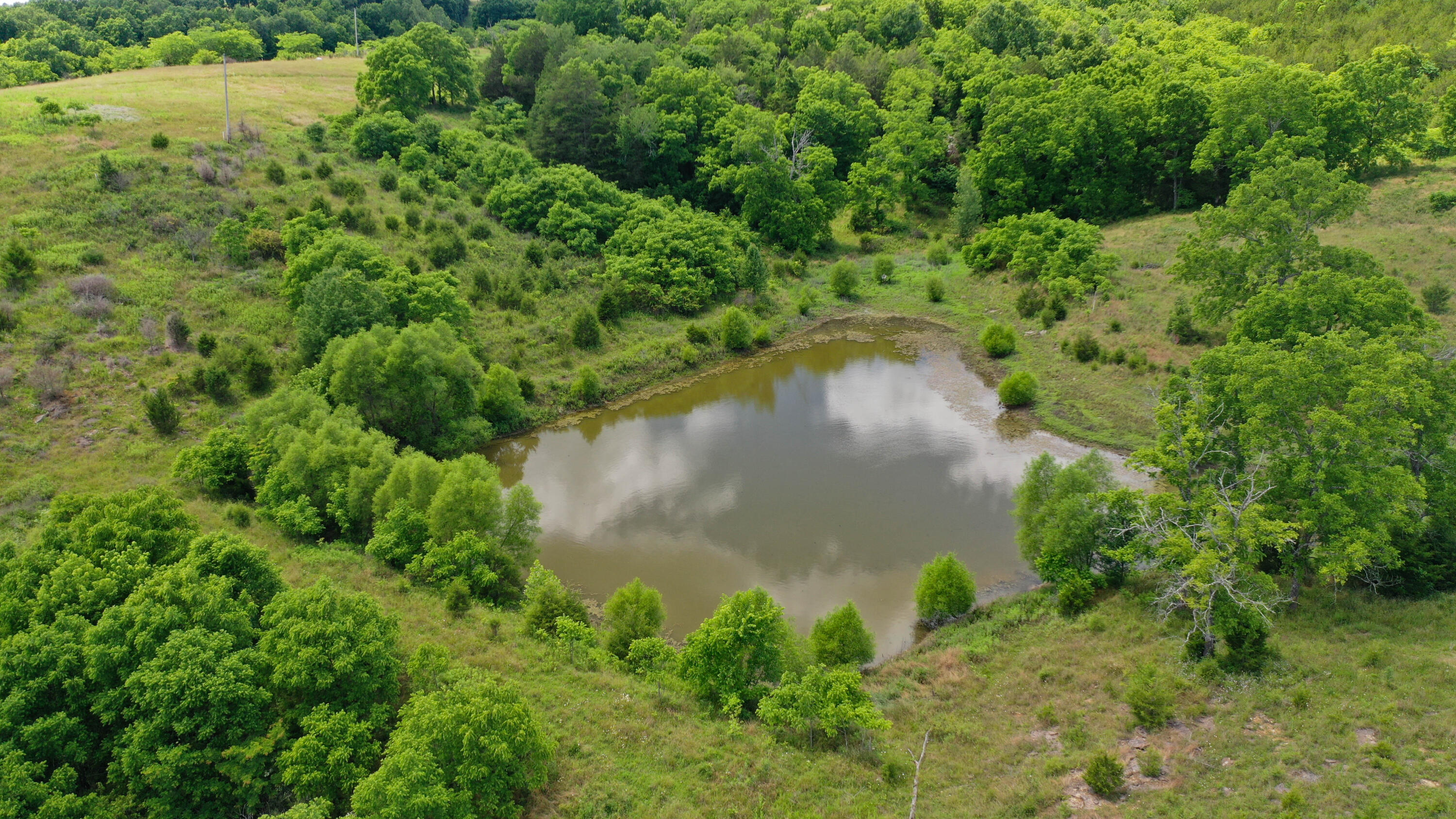 359 Ky Highway 1284 Property Photo 6