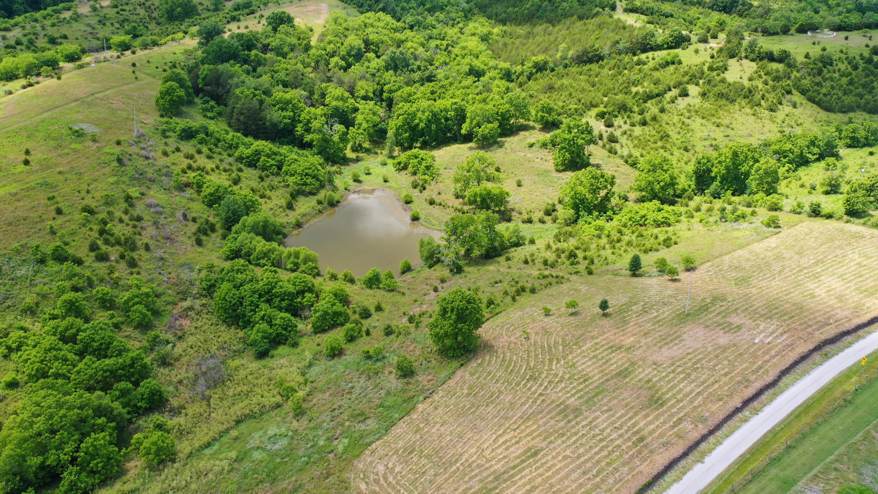 359 Ky Highway 1284 Property Photo 7