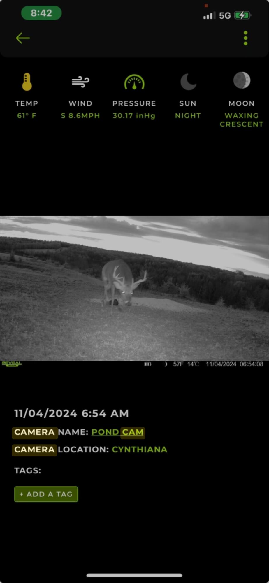 359 Ky Highway 1284 Property Photo 14