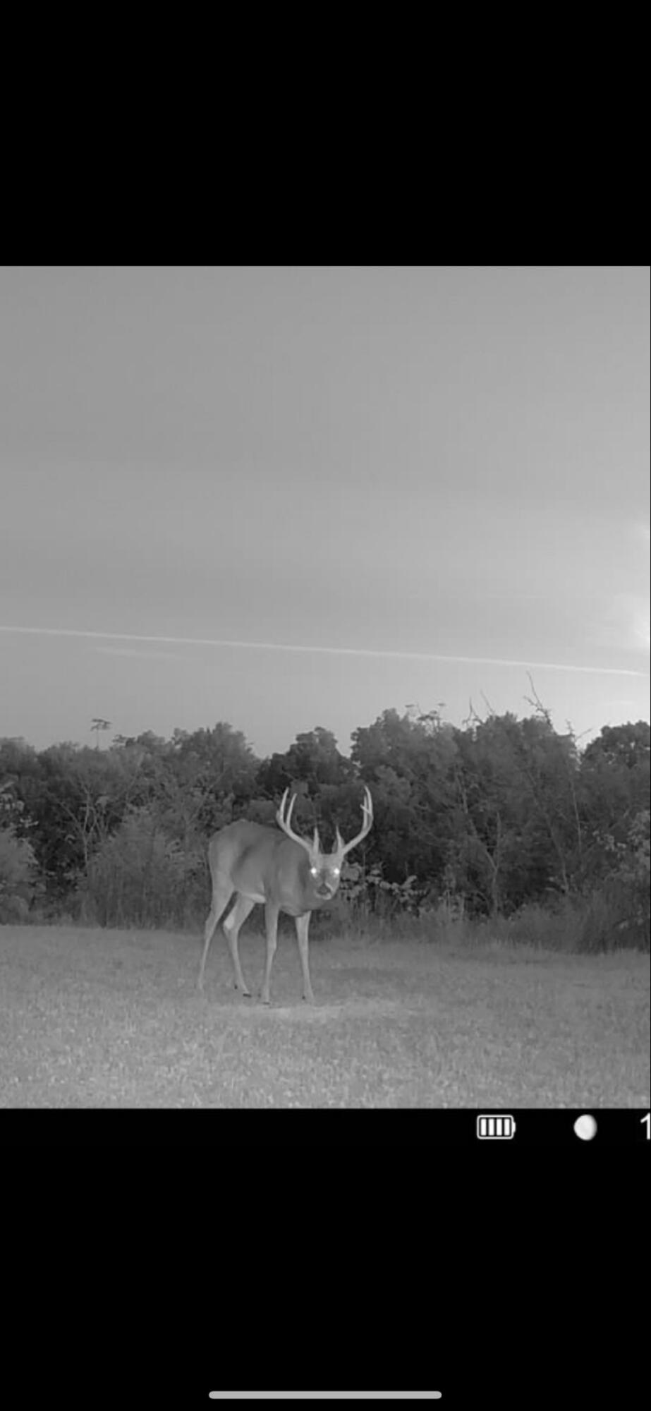 359 Ky Highway 1284 Property Photo 15