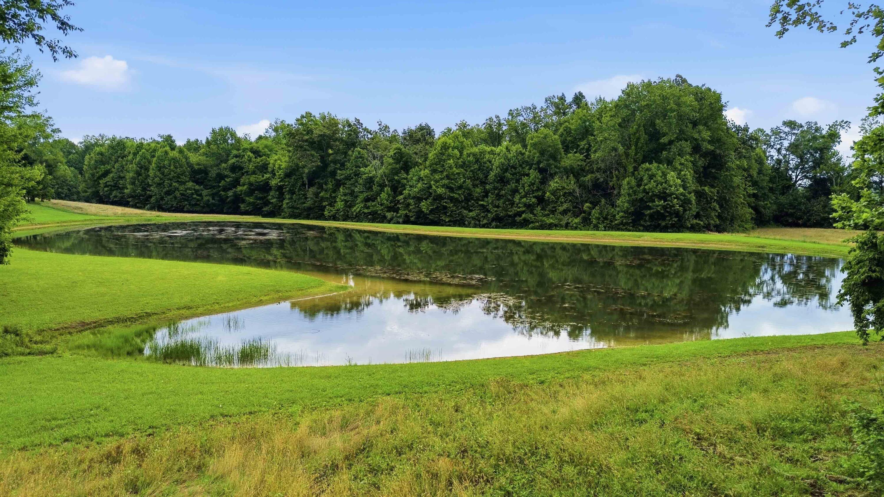 1015 Kentucky 70 Property Photo 13