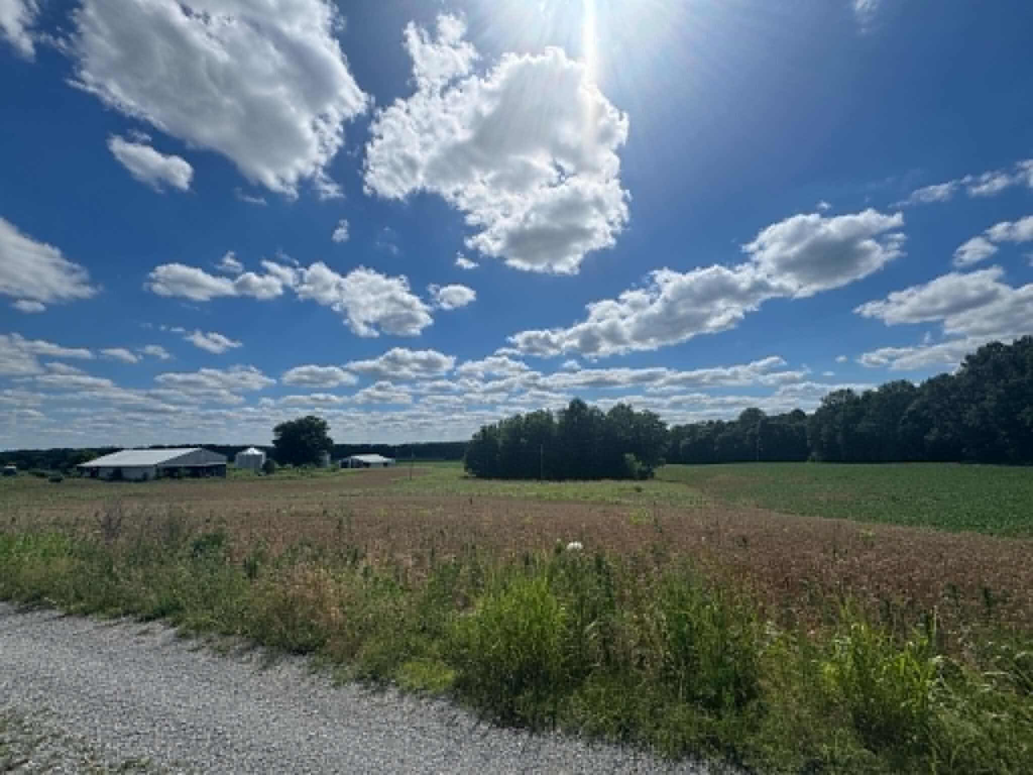 Lot 4 Willis Road Property Photo 2
