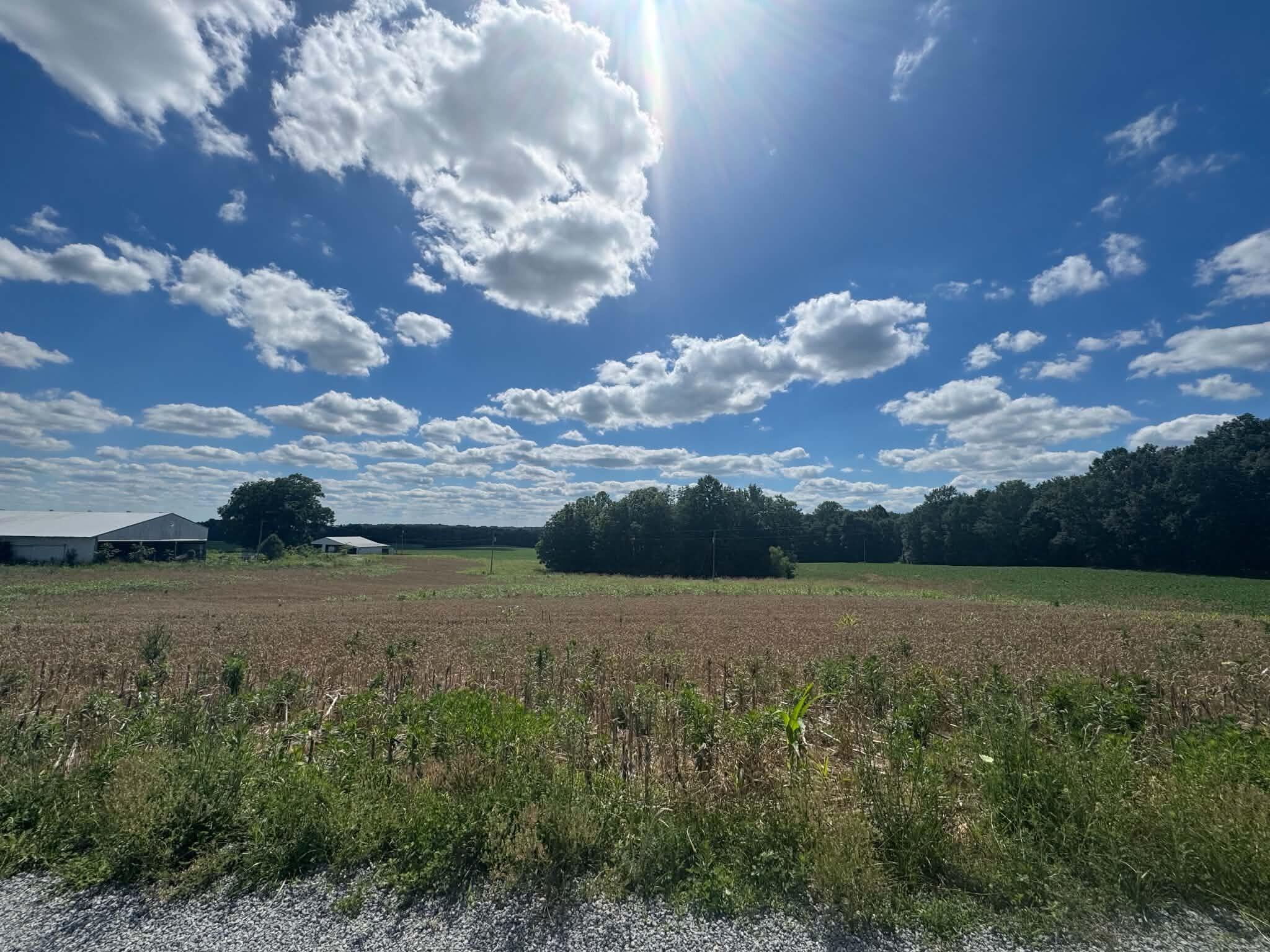 Lot 4 Willis Road Property Photo 3