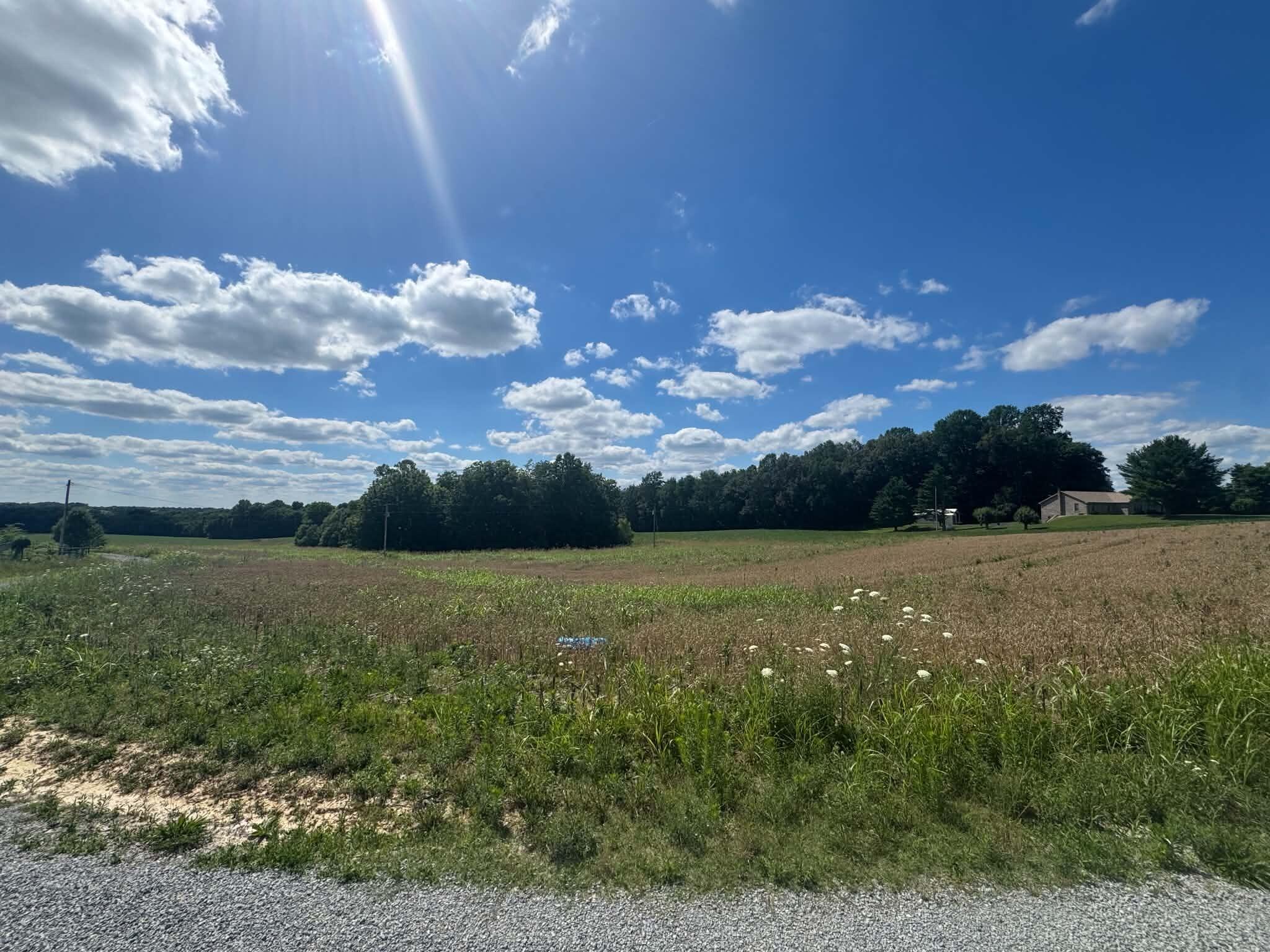Lot 4 Willis Road Property Photo 4