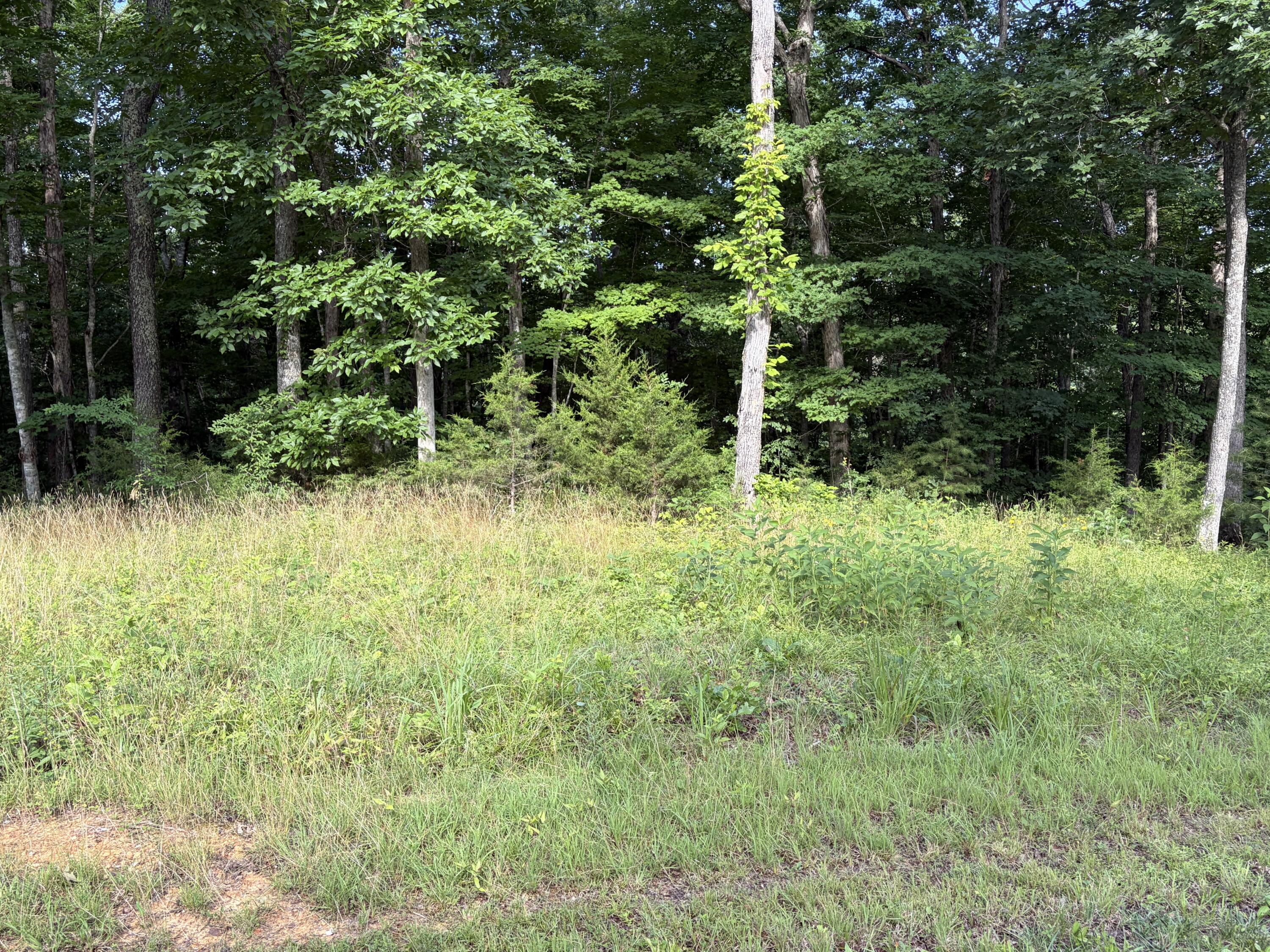 132 W West Willow Point Road Property Photo 1