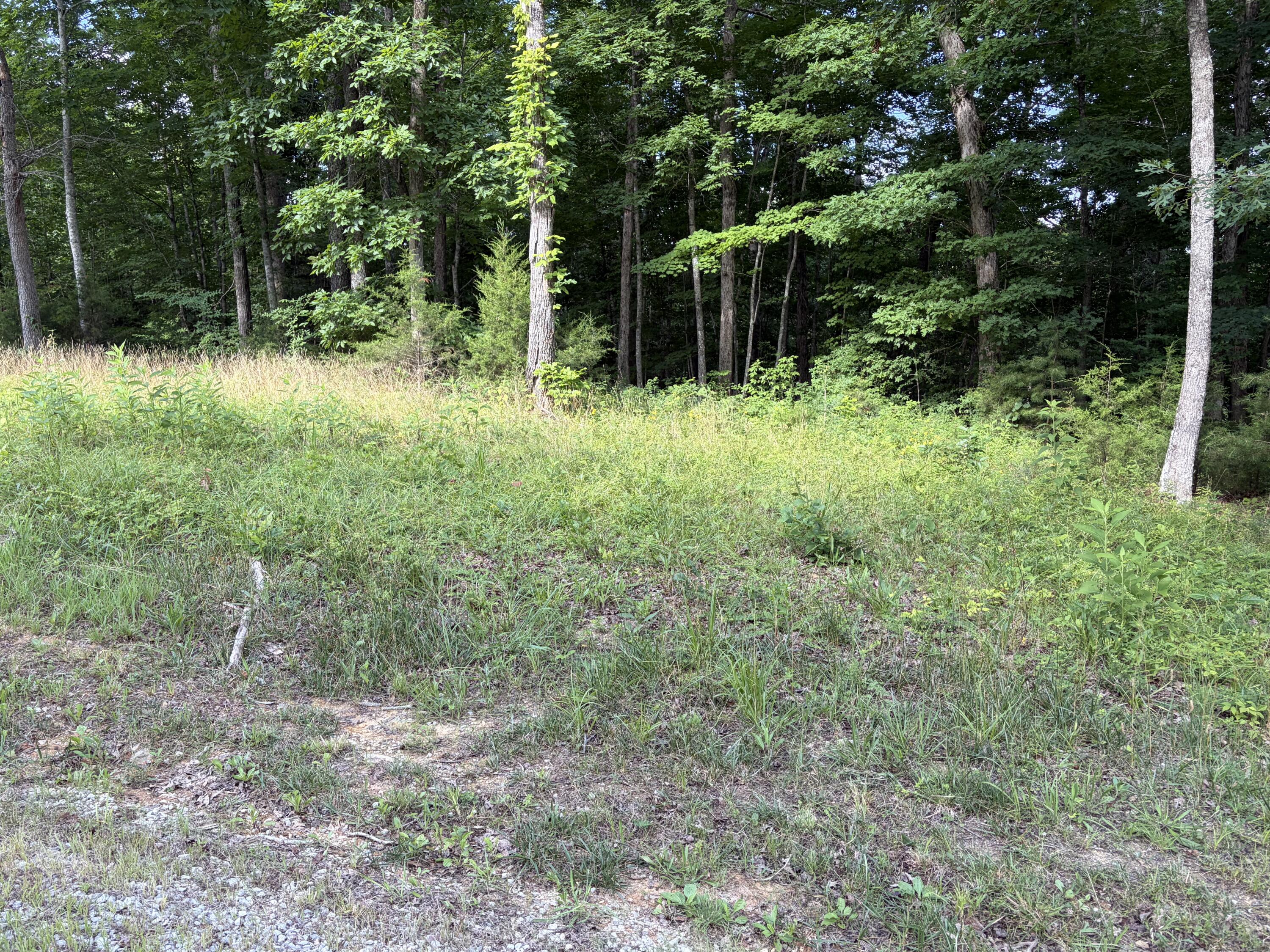 132 W West Willow Point Road Property Photo 3