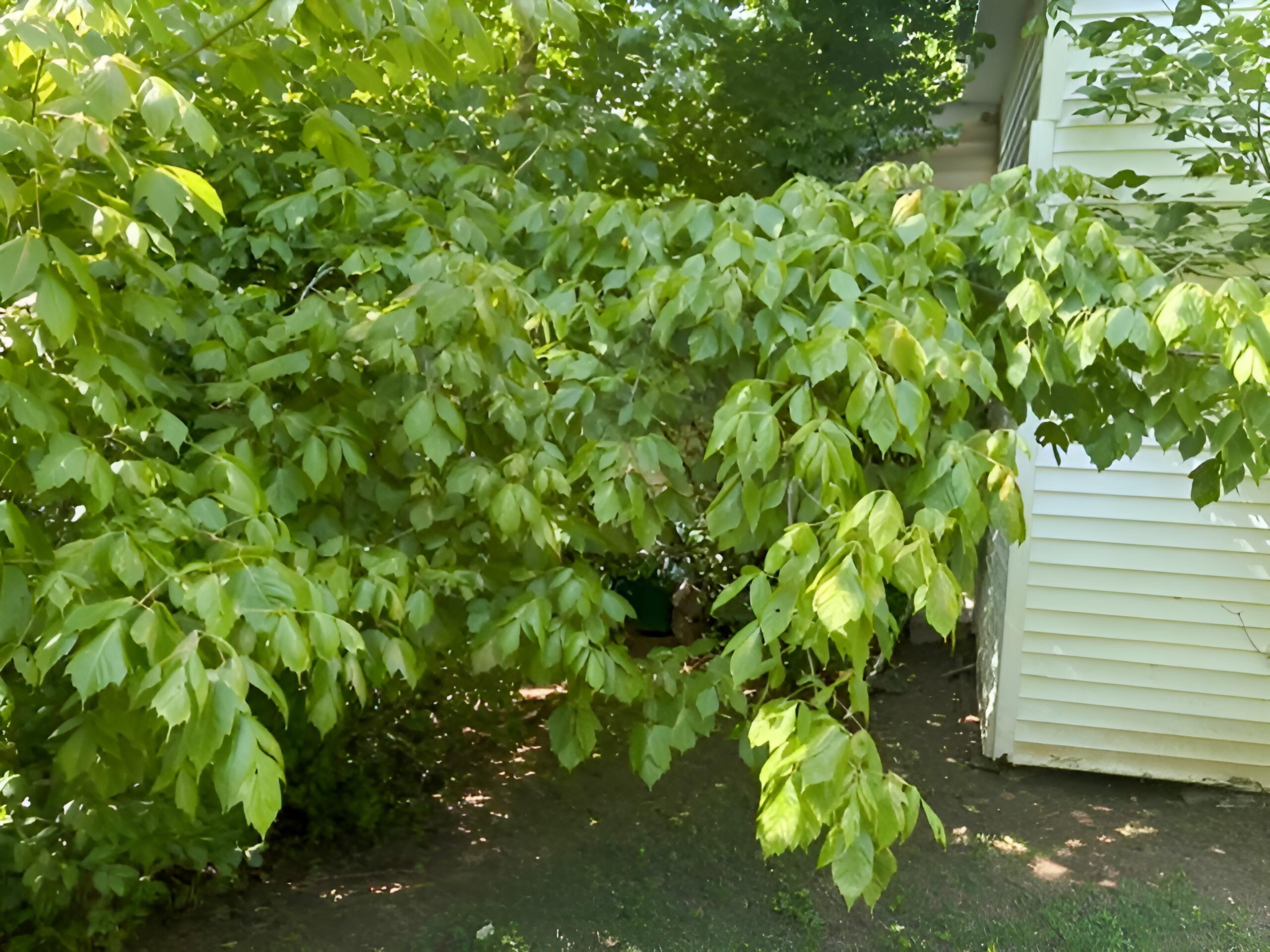 399 Campground Road Property Photo 2