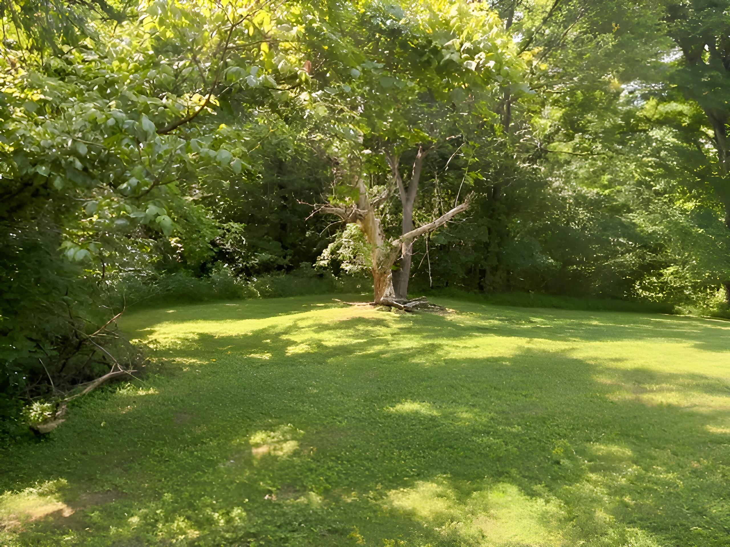 399 Campground Road Property Photo 3