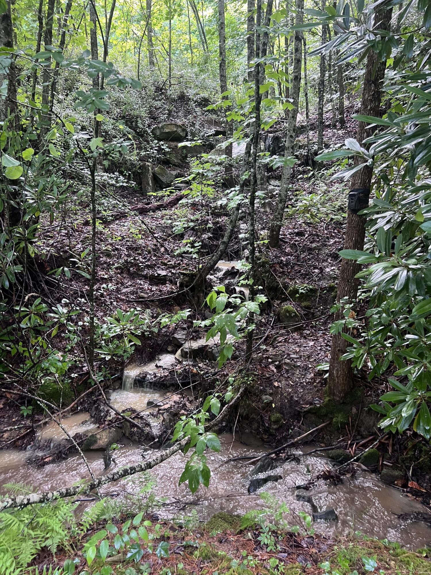 207 Jim Hollow Road Property Photo 2