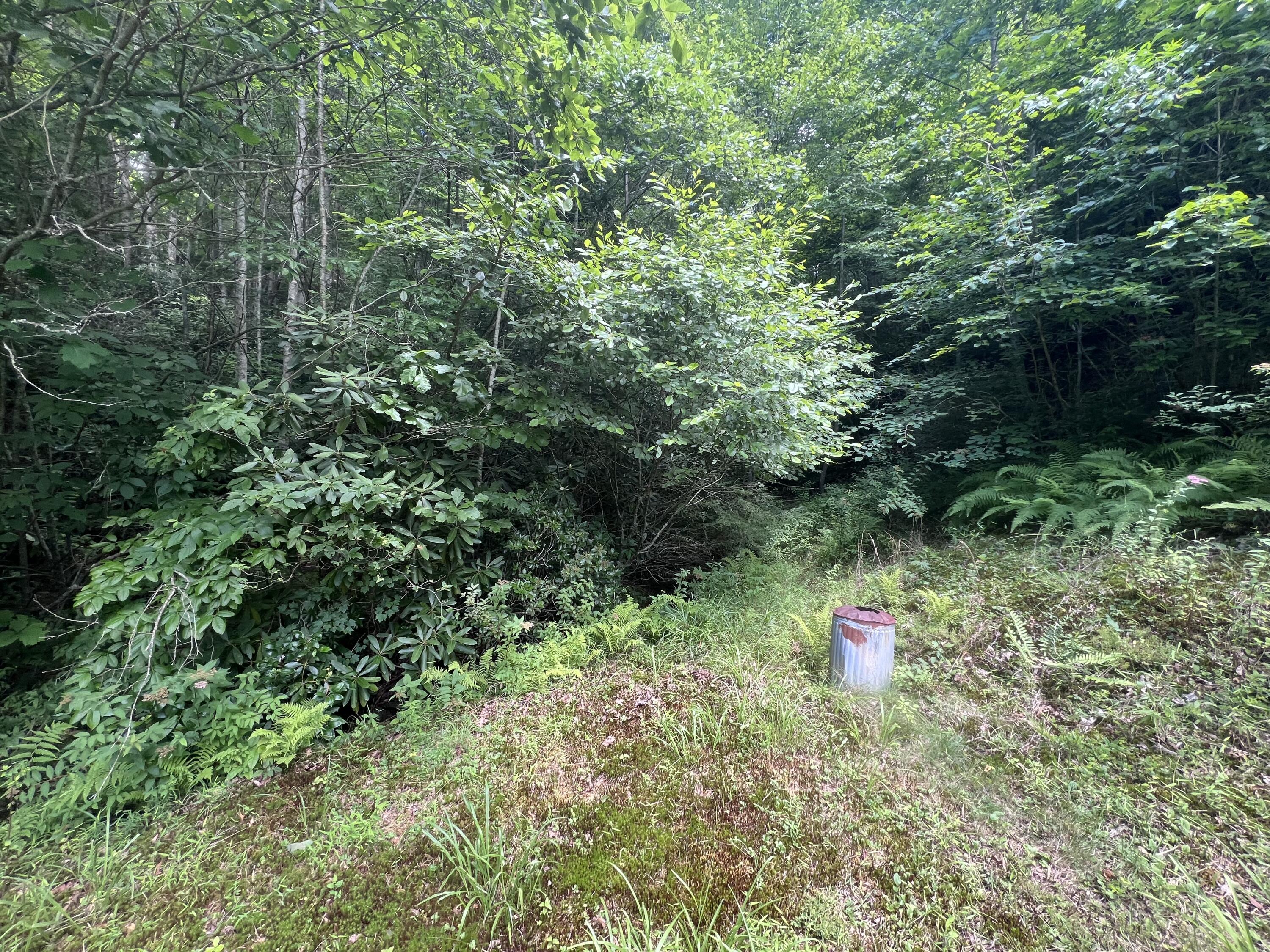 207 Jim Hollow Road Property Photo 17